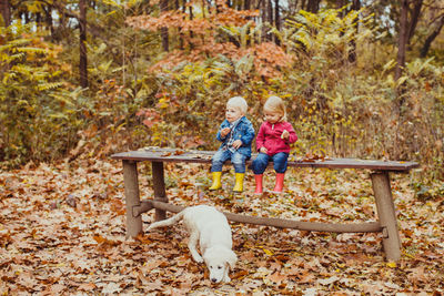 Children sitting in park during autumn