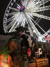 Illuminated ferris wheel at night