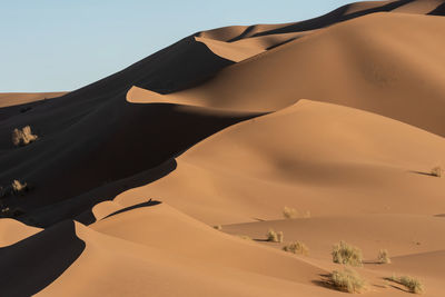 Nature and landscapes of dasht e lut or sahara desert with sand dunes