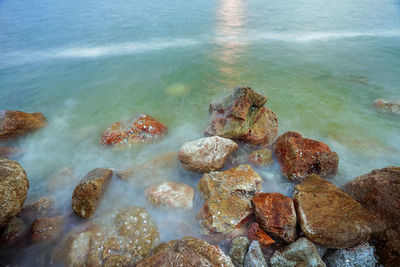 High angle view of rocks on beach