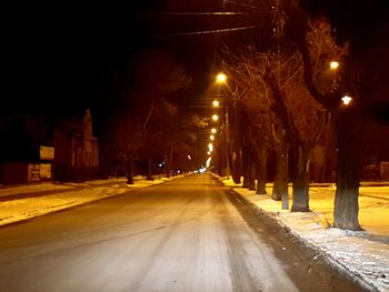 Illuminated trees during winter at night