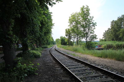 Railroad track amidst trees against sky