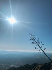 Scenic view of landscape against sky on sunny day