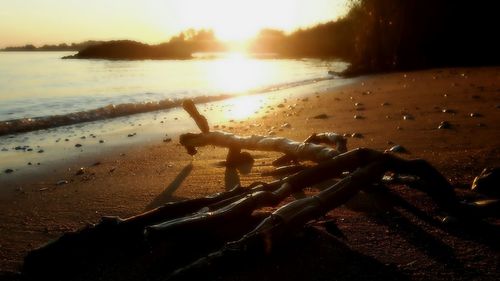 Close-up of wet sand on beach against sky
