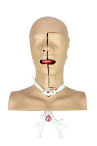 Close-up of toy against white background