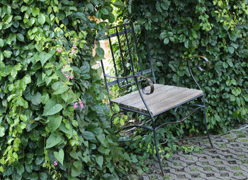 Metal chair in the park