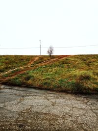 Scenic view of field against clear sky