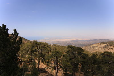 environment