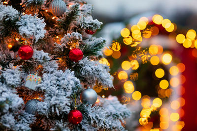 Close-up of illuminated christmas tree at night