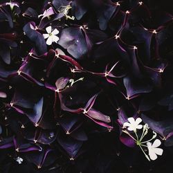 Full frame shot of objects