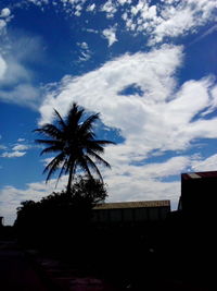 Low angle view of palm trees against cloudy sky