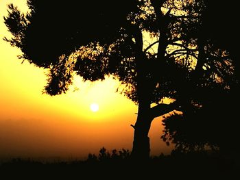 Silhouette trees against sky during sunset