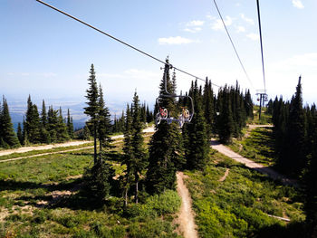 Ski lift over pine trees on land against sky