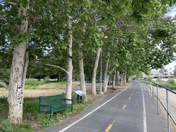 Road amidst trees and plants