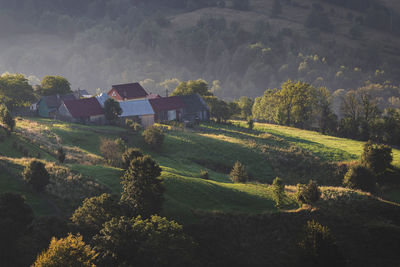 Scenic view of agricultural field by houses and trees