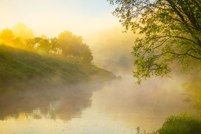 Beautiful foggy spring morning landscape of a river with grass growing in the foreground.