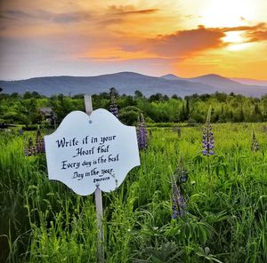 Information sign on field against sky during sunset