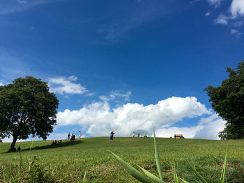 Scenic view of field against blue sky