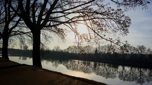 Silhouette trees by lake against sky during sunset