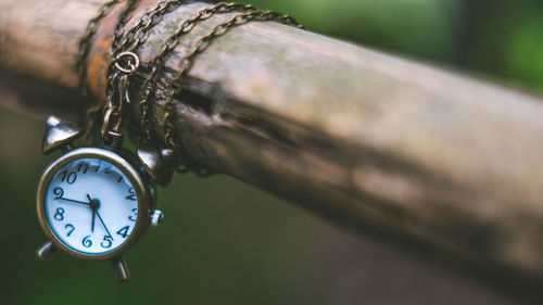 Close-up of pocket watch hanging from bamboo