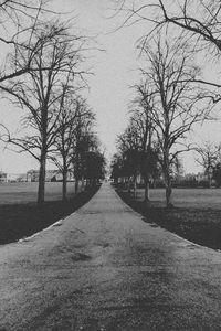 Bare trees on road against sky