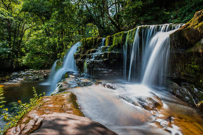 Scenic view of waterfall in forest