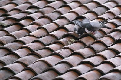 Full frame shot of roof tiles