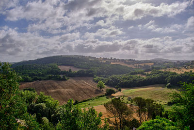 Scenic view of agricultural field against sky