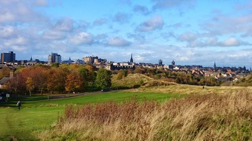 Trees and buildings on field against sky