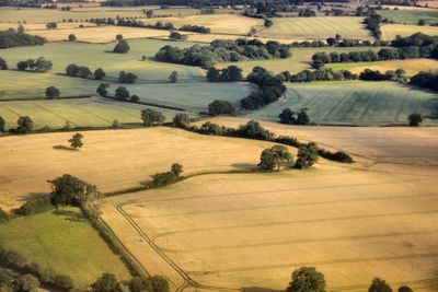 High angle view of trees on field against sky