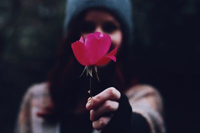 Close-up of hand holding flower