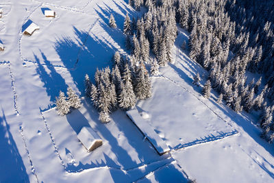 Aerial view of snow covered land and trees on field