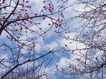 Low angle view of bare tree against blue sky