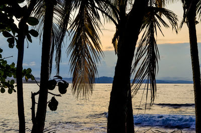 Scenic view of sea at sunset