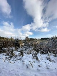 Snow covered field against sky