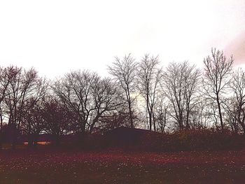 Bare trees against sky