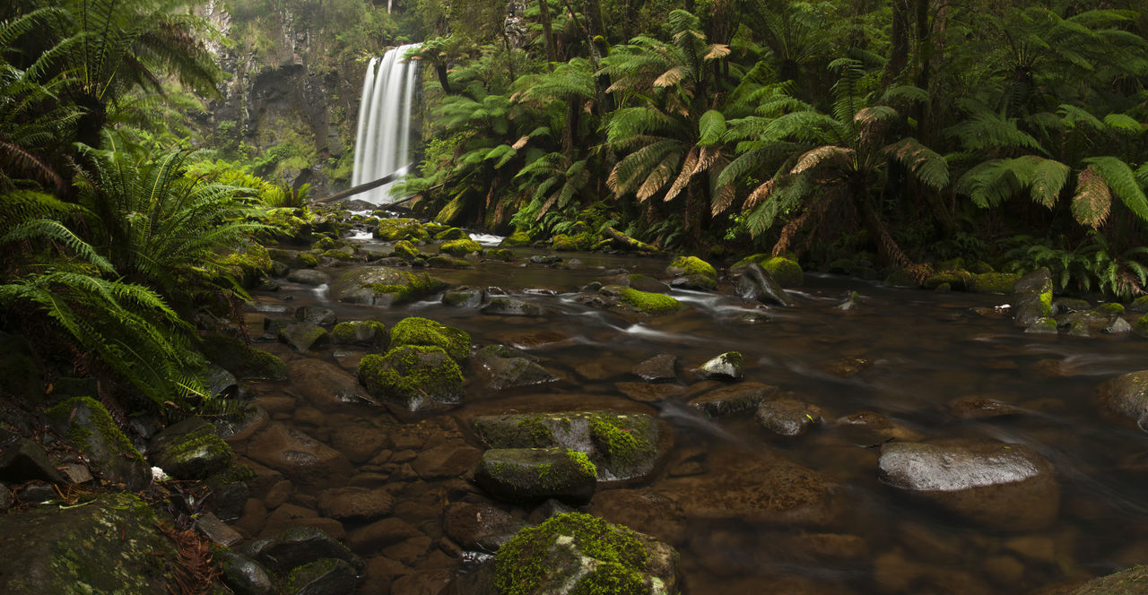 Hopetoun falls