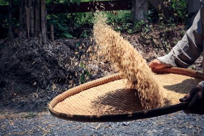 Man working in farm