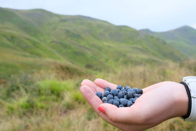 Midsection of man holding fruit on field