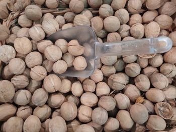 High angle view of shells for sale in market