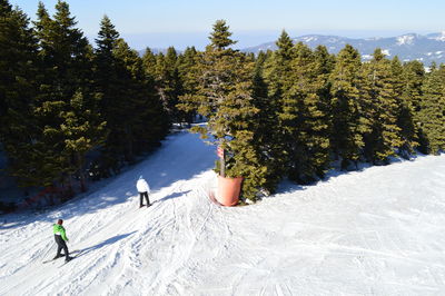 Trees on snow covered landscape against sky