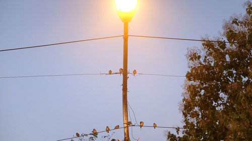 Low angle view of power lines