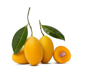 Close-up of oranges against white background