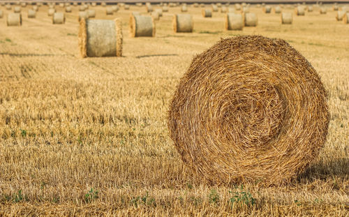 bale