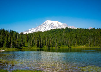 Scenic view of calm lake against clear sky