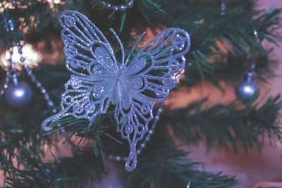 Close-up of christmas tree