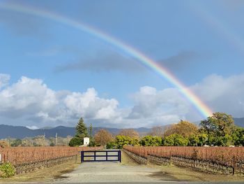 Rainbow over landscape against sky