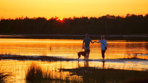 Rear view of silhouette people walking on lake during sunset