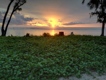 Scenic view of sea against sky during sunset