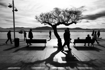 Silhouette people on bench by tree against sky